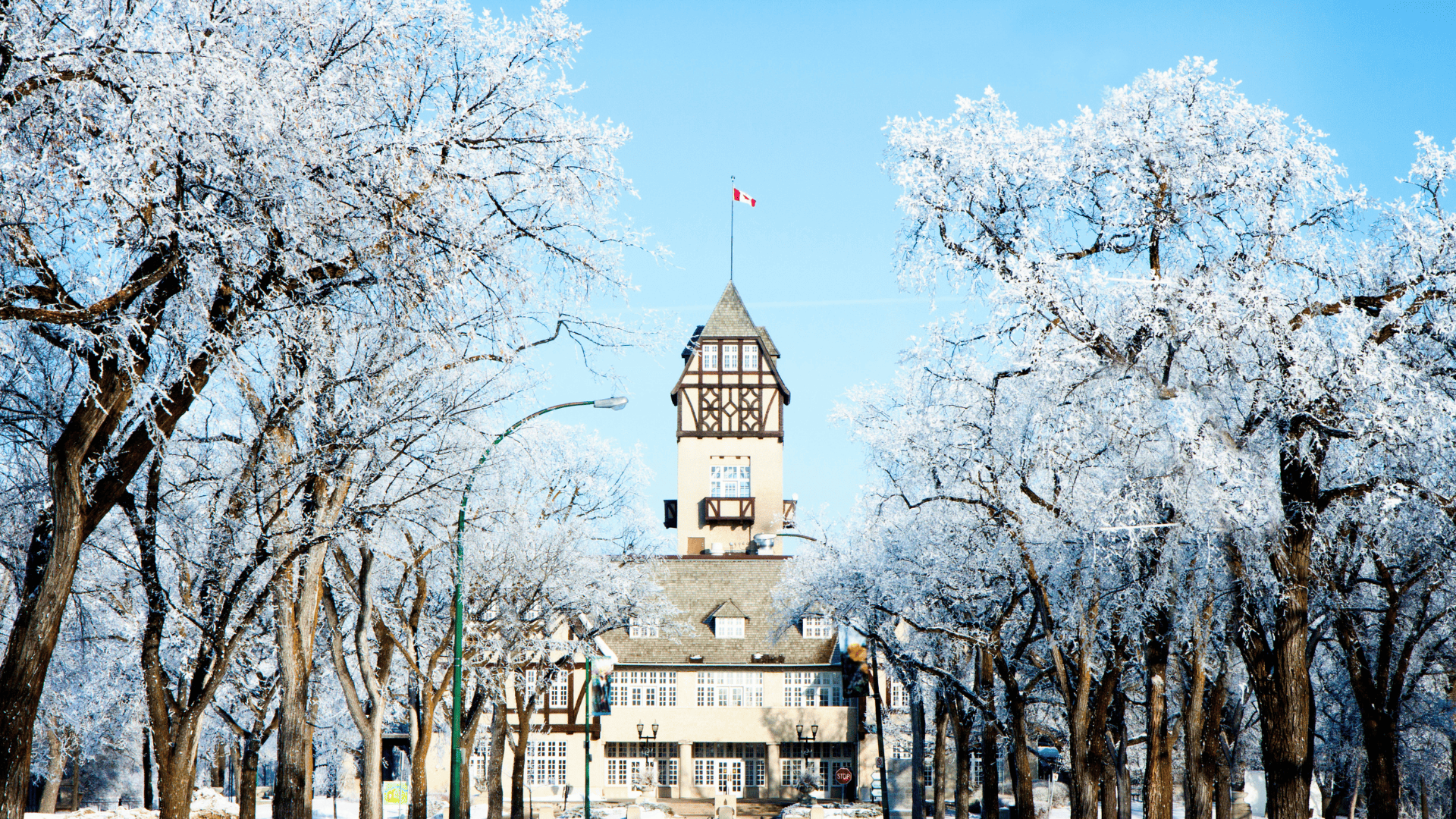 7 Days Great Ice Bear Adventure